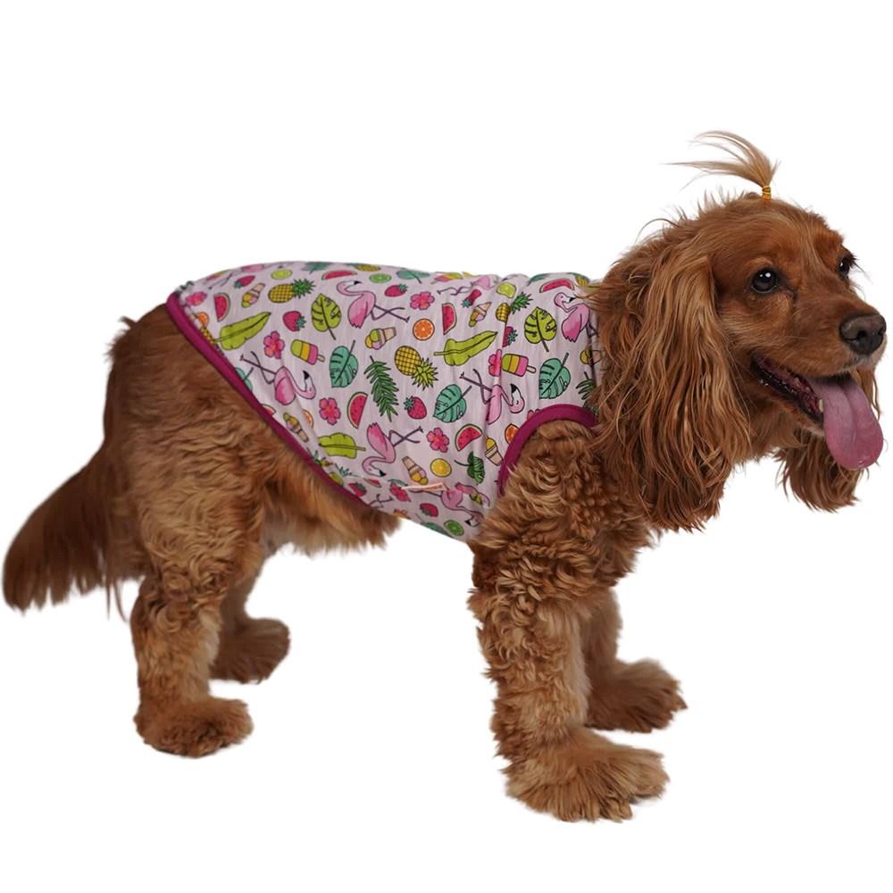 Pawstar Exotic Küçük Irk Köpek T-shirtü