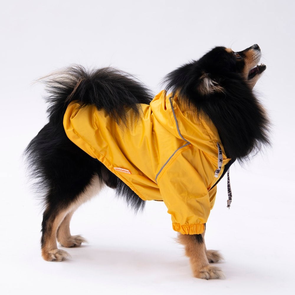 PawStar Sarı Pluvia Küçük Irk Köpek Yağmurluğu