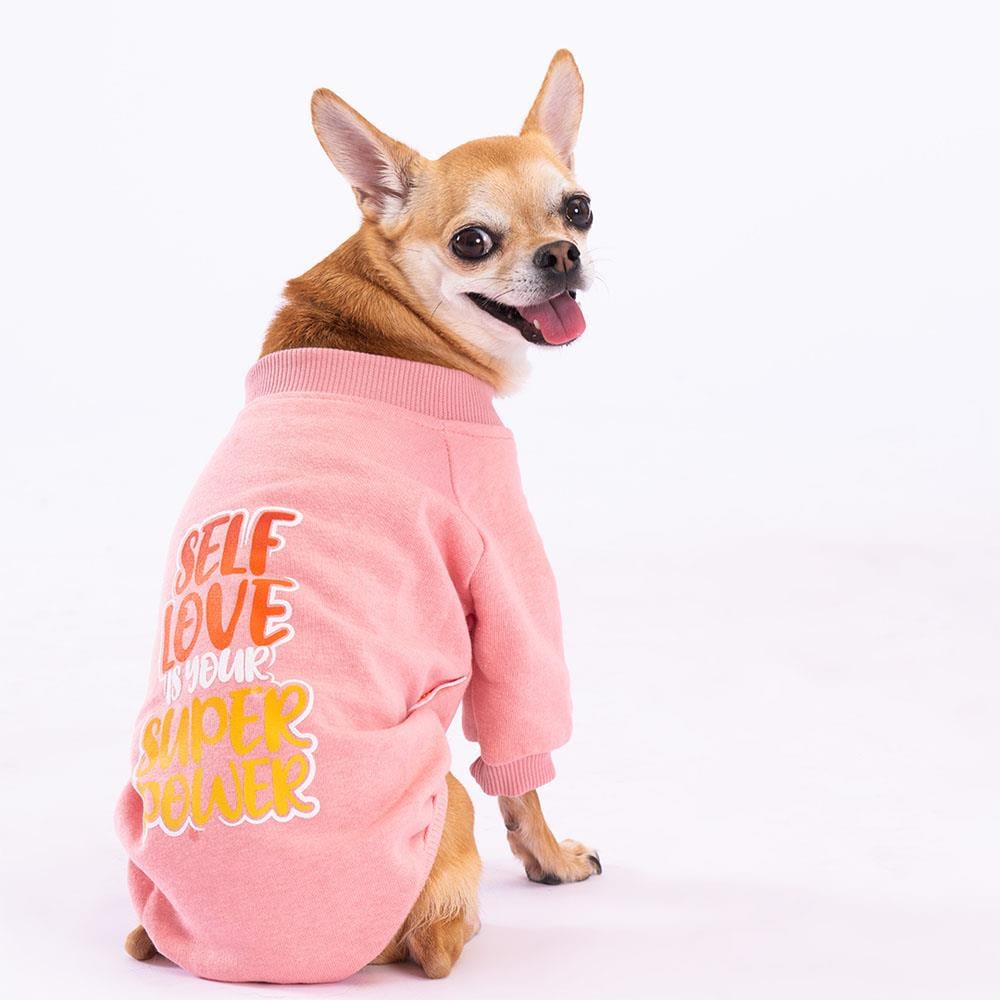 Pawstar Pembe Power Polarlı Küçük Irk Köpek Sweatshirtü
