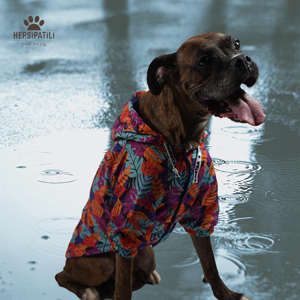 Pawstar Folium İçi Polar Orta-Büyük Irk Köpek Yağmurluğu