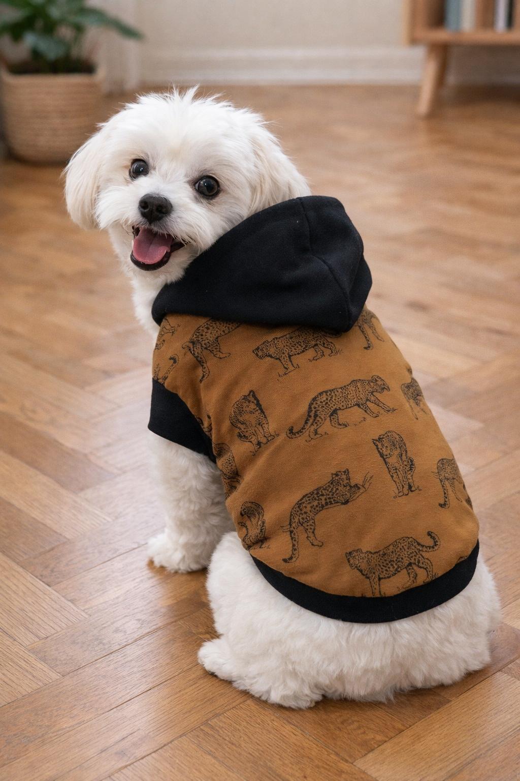 Alphadog Roar Küçük Irk Köpek Sweatshirtü