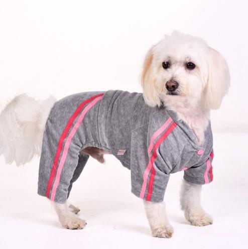 Gedyco Gri-Pembe Kadife Küçük Irk Köpek Tulumu