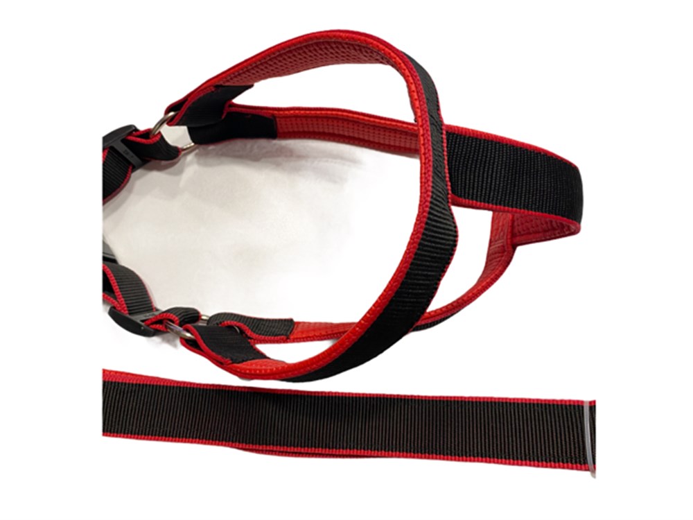 Doglife Dev Boy Yumuşak Dokulu Göğüs Tasması ve Gezdirme Kayışı Seti 4 cm x 110 cm (85 cm göğüs)
