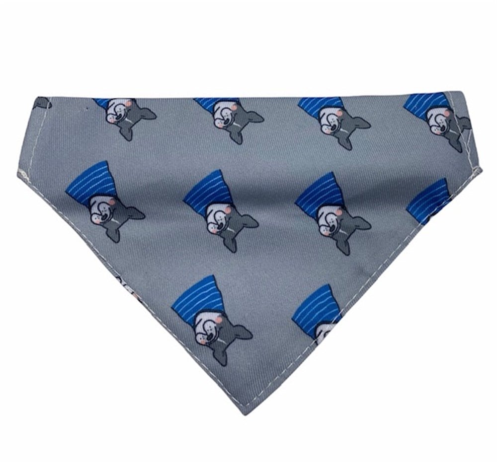 Mr.Serious Grey Bandanalı Köpek Boyun Tasması