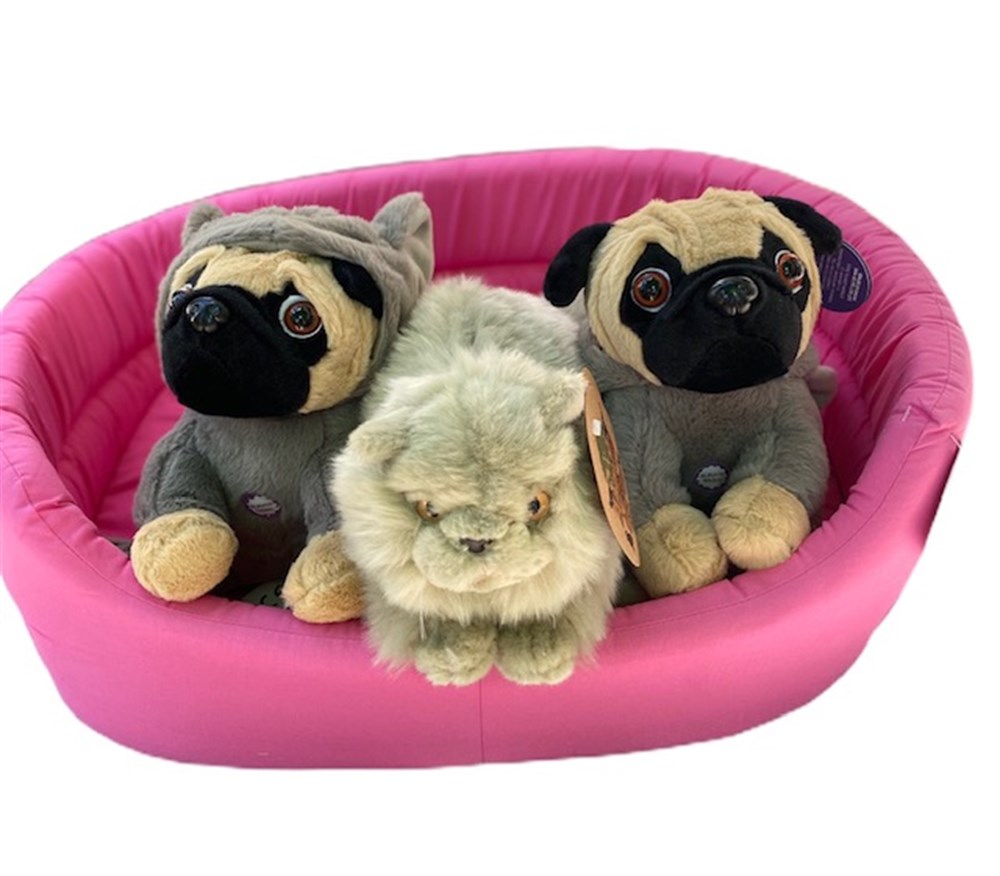 Pet Pretty Kedi ve Köpek Yatağı 37x51x17 Cm