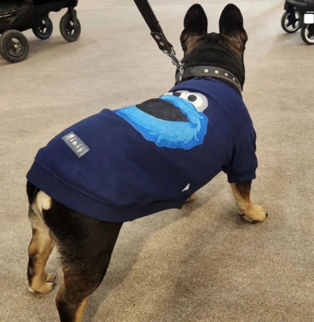 Muppets Dark Blue Köpek Sweatshirtü (6,5 kg -15 kg arası köpeklere uygun bedenlerde)