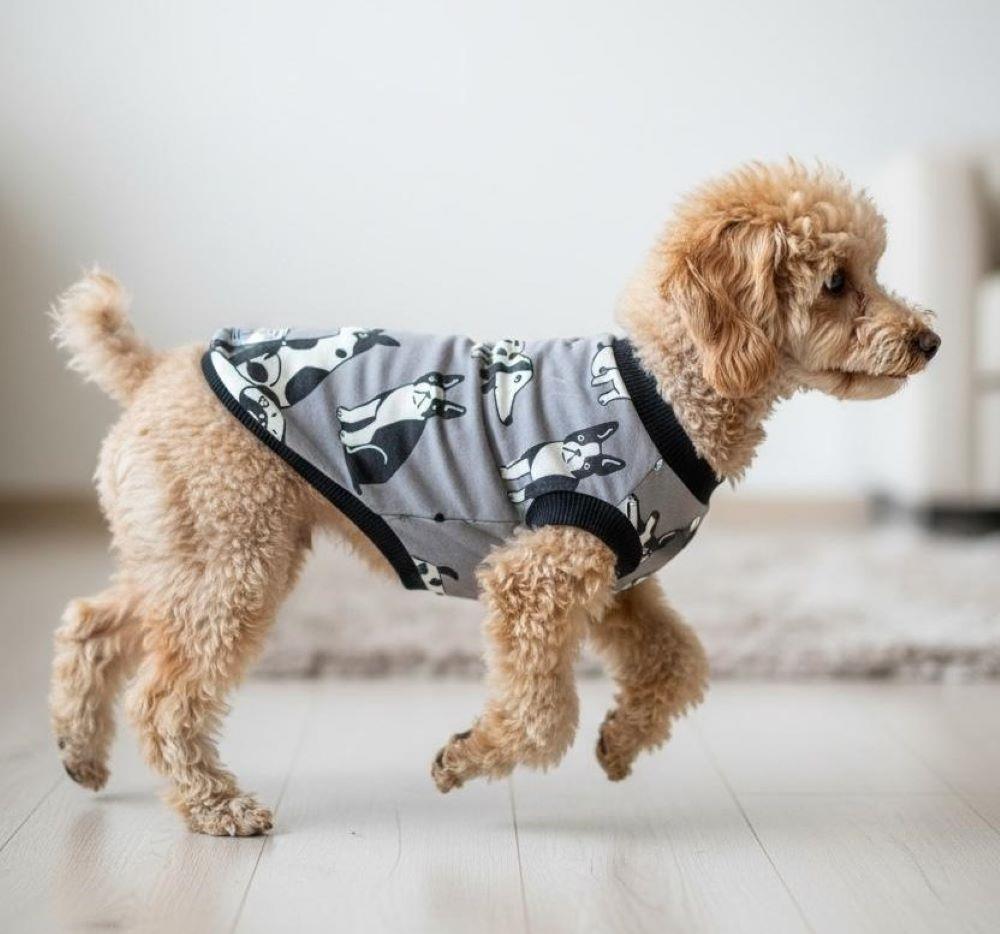 Miniş Gri Köpekli Küçük Irk Köpek Penye T-shirt