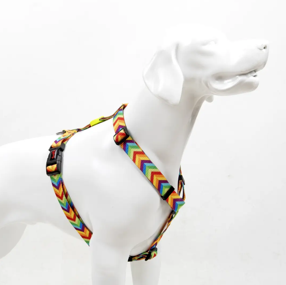 Tailpetz H-tip Rainbow S Küçük Irk Köpek Göğüs Tasması (Göğüs 32 cm x 51 cm)