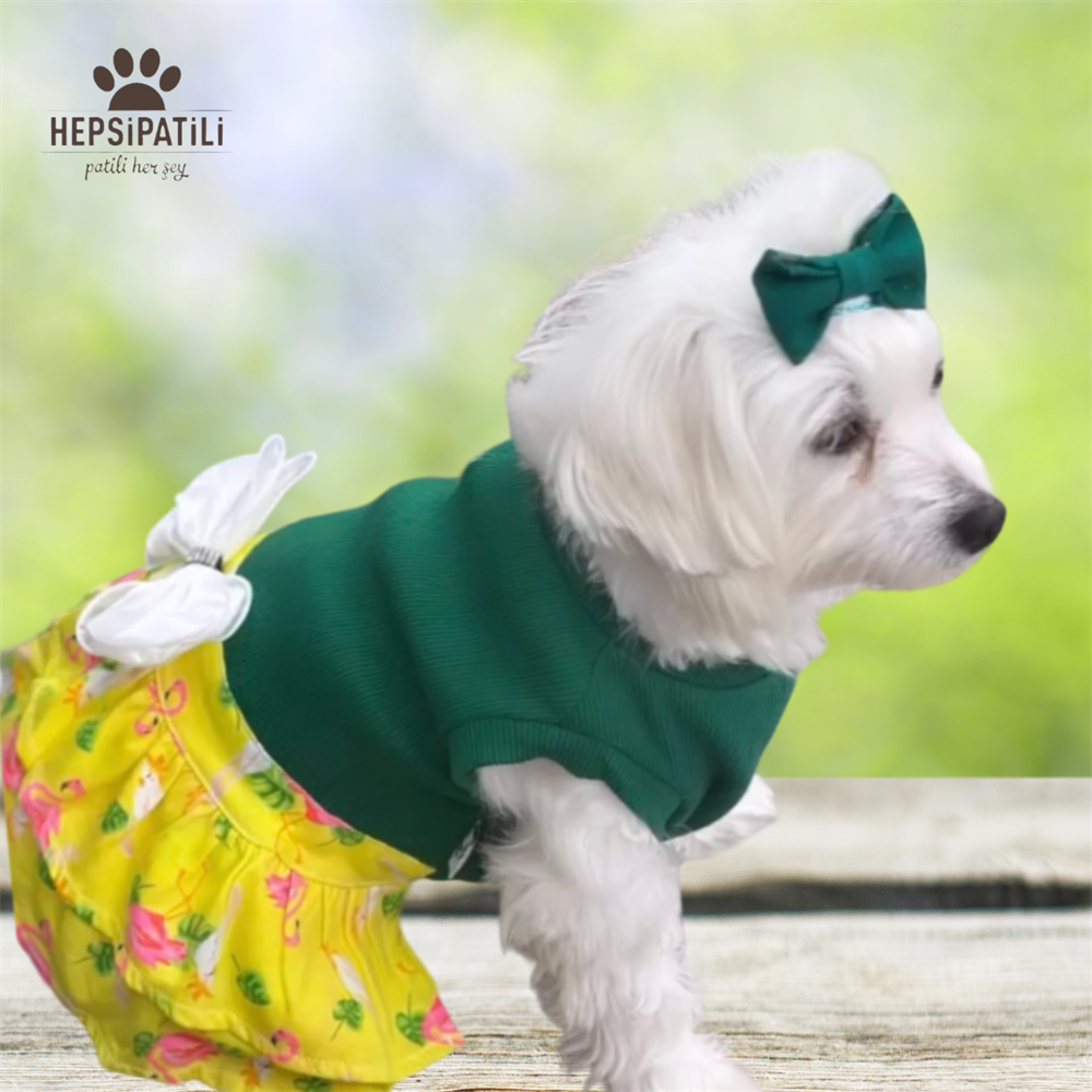 Flamingolu Yeşil Küçük Irk Köpek Elbisesi (1 kg-10 kg arasına uygun)