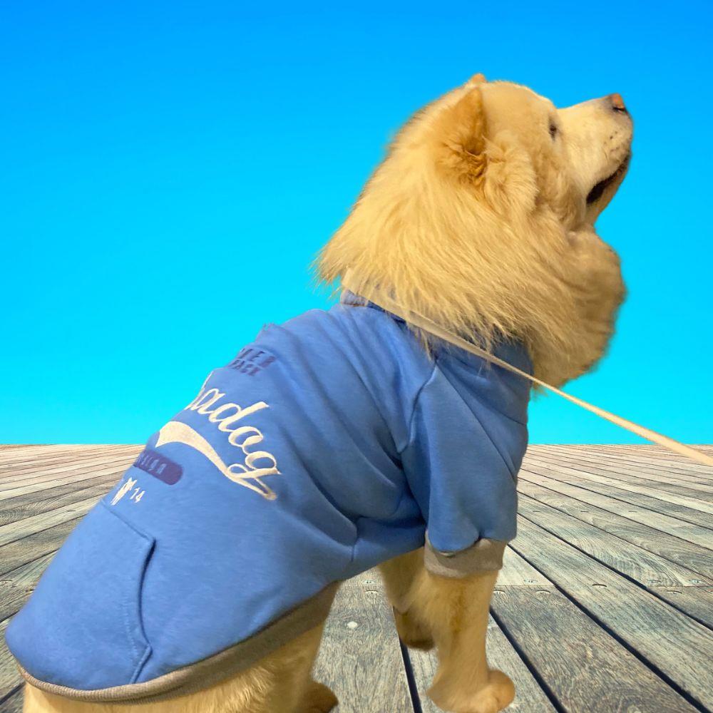 Alphadog Leader Blue Orta-Büyük Irk Köpek Sweatshirtü (11 kg-36 kg arası köpeklere uygundur)