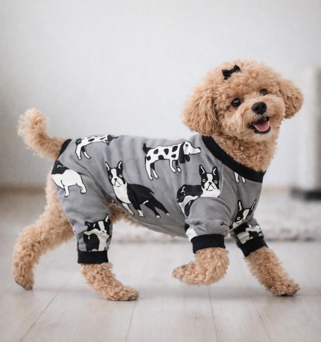 Miniş Gri Köpekli Küçük Irk Köpek Tulumu