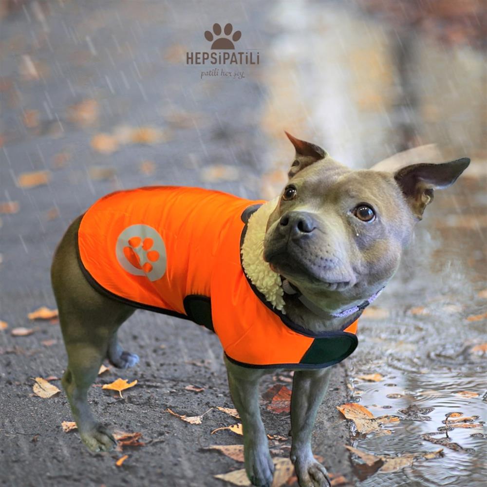 Pratik Giyim Reflektörlü İnce Küçük Köpek Yağmurluğu (4,5 kg-14 kg arasına uygun) Turuncu