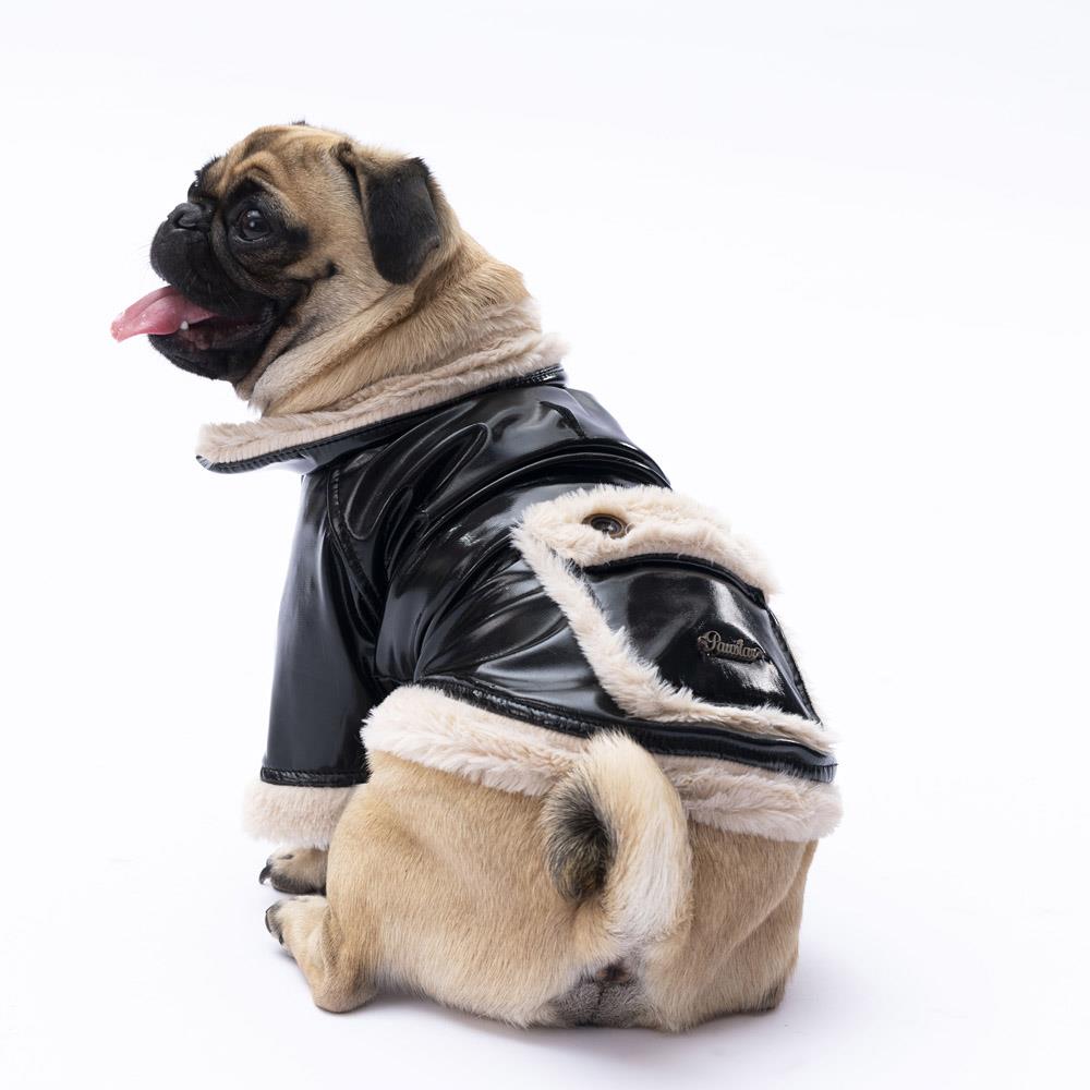 Pawstar Black Vegas Küçük Irk Köpek Montu