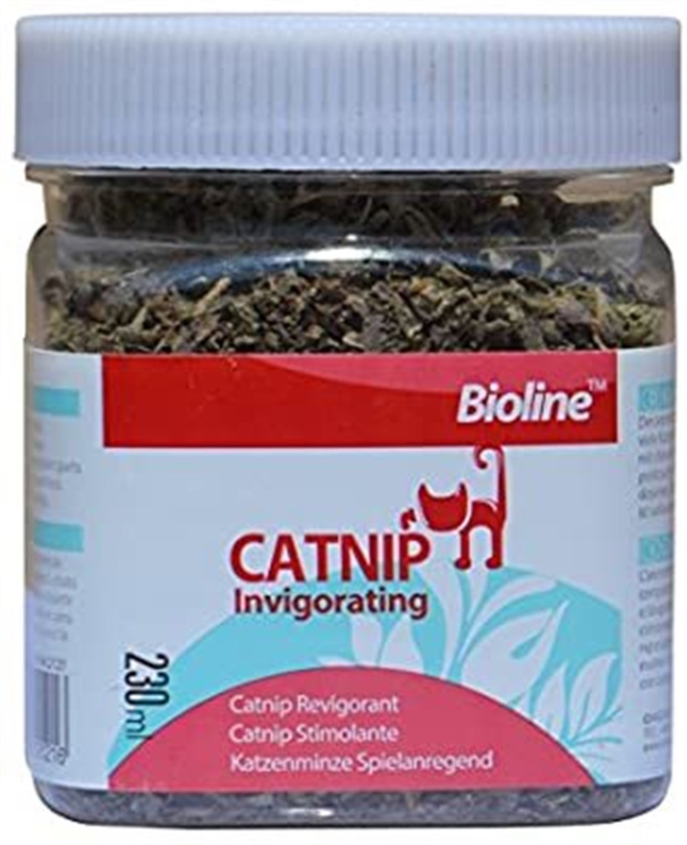 Bioline Catnip Kedi Otu 20 g