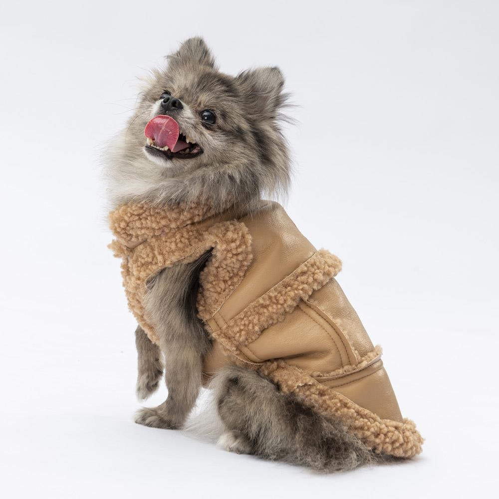 Pawstar Bej Churchill Su Geçirmez Küçük Irk Köpek Yeleği