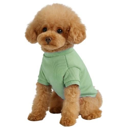 Gedyco Mint Küçük Irk Köpek Likralı Triko