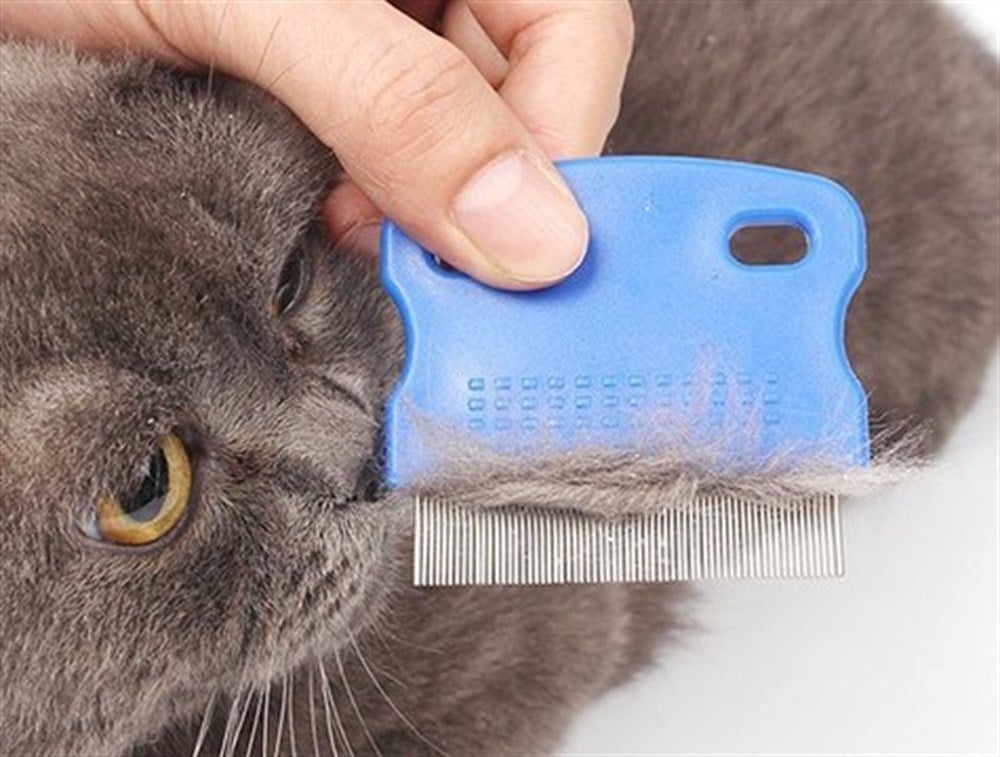 Kedi ve Köpek Pire Tarağı