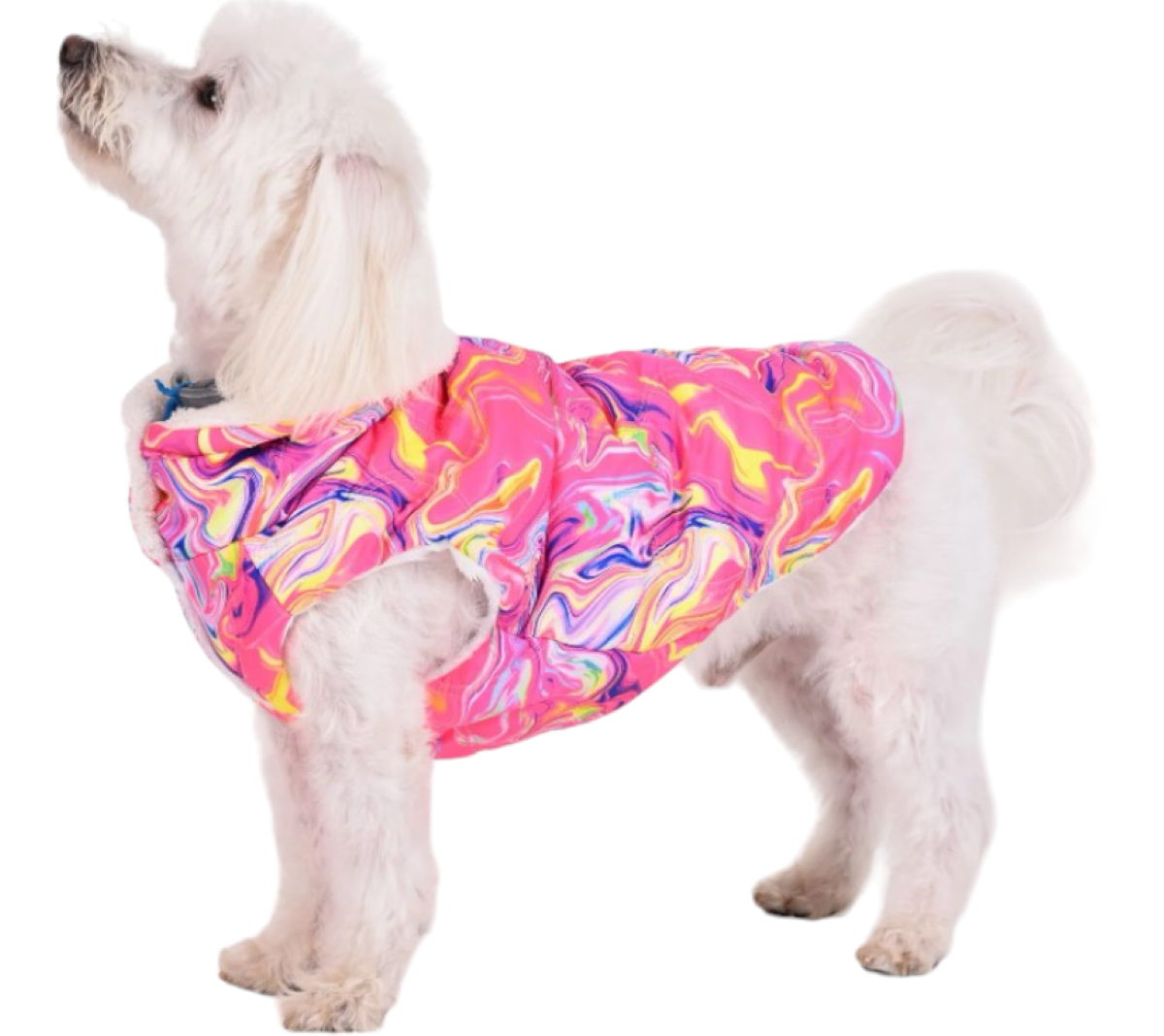 Gedyco Batik, Peluşlu Su İtici Küçük Irk Köpek Yağmurluğu