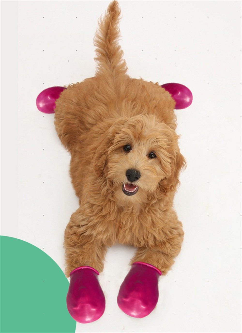 Alphadog Pembe Köpek Galoşu 6 Adet