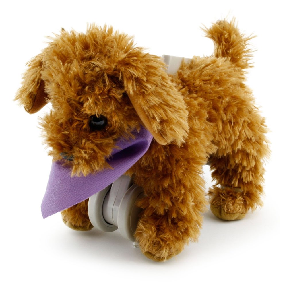 My Puppy Kaniş - Moose Yürüyen Köpeğim Moose