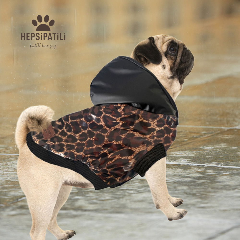Alphadog Leopard Su Geçirmez Küçük Irk Köpek Yağmurluğu