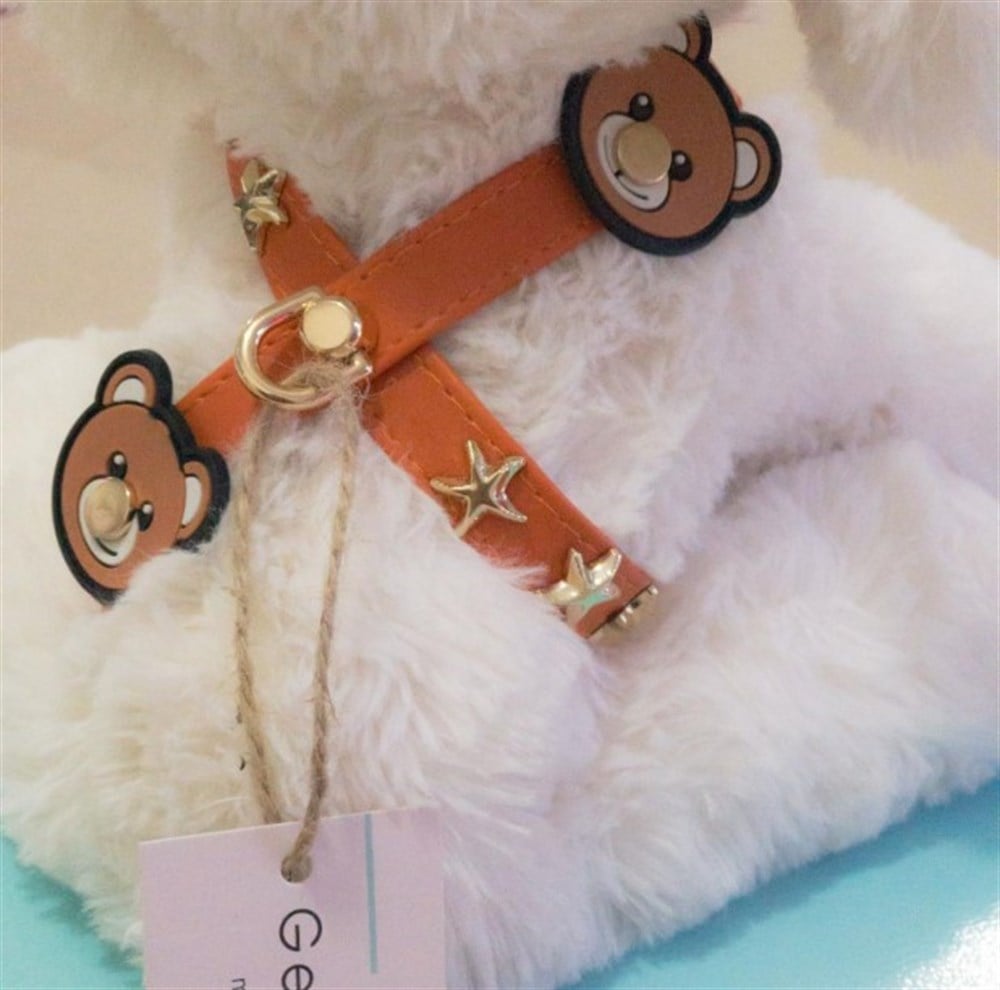 Gedyco Orange Bear Küçük Irk Köpek Göğüs Tasması