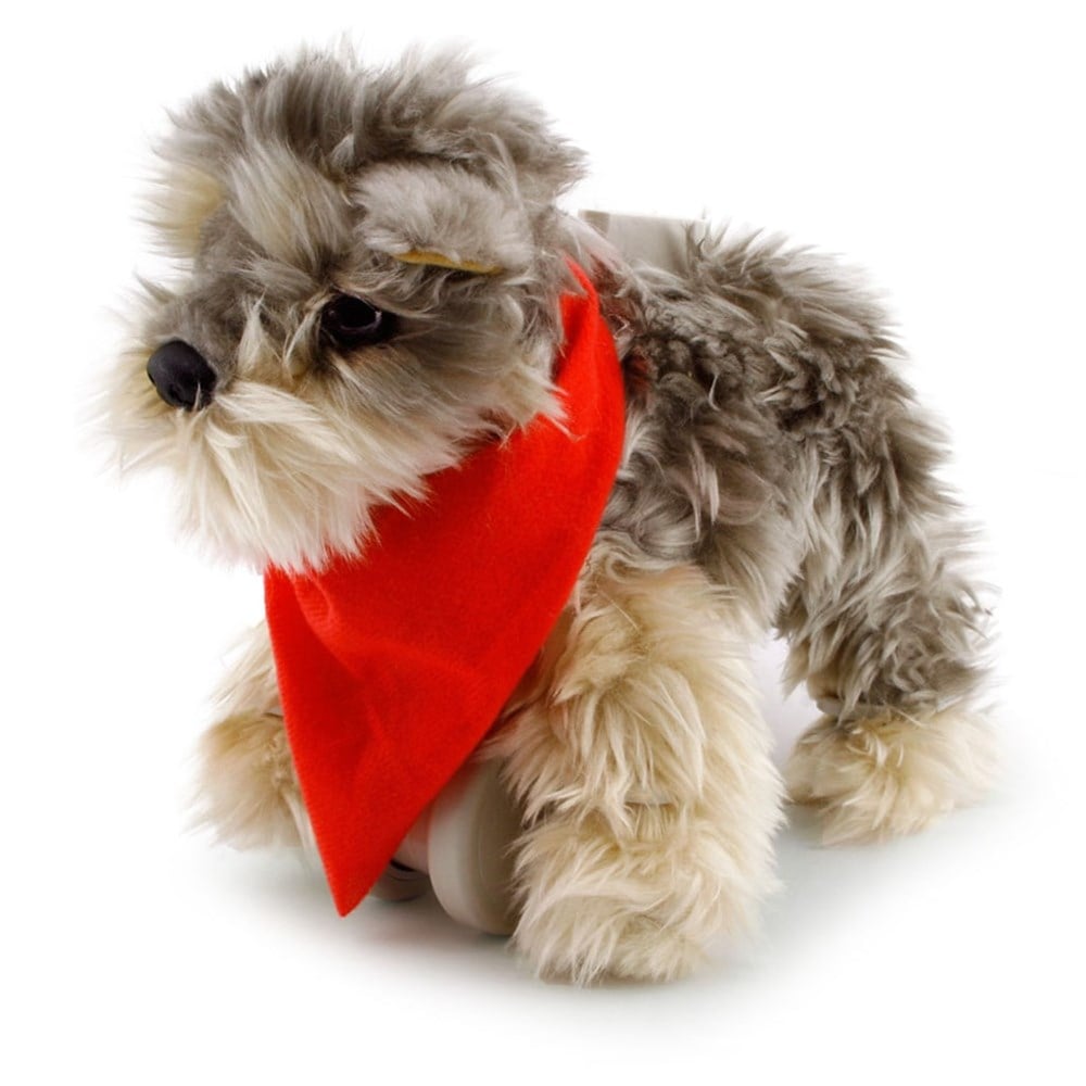 My Puppy Yorkie - Tanner Yürüyen Köpeğim Tanner