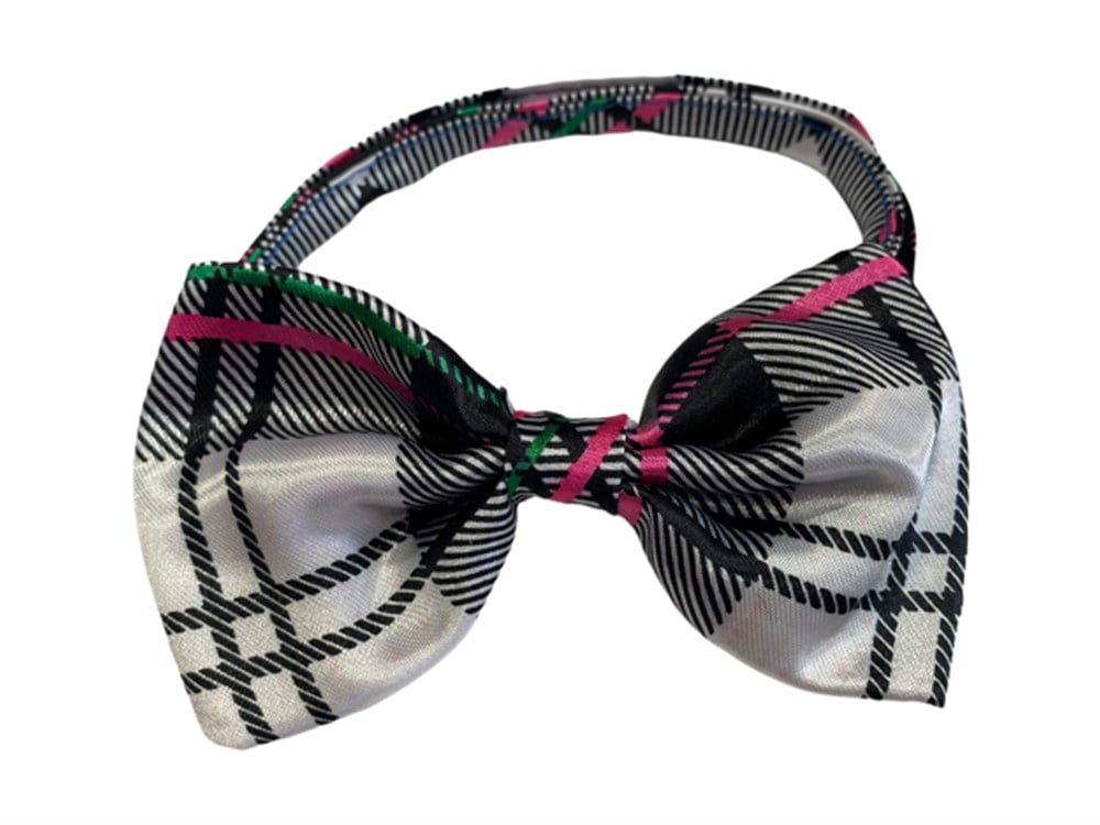 London Köpek Papyon Tasma