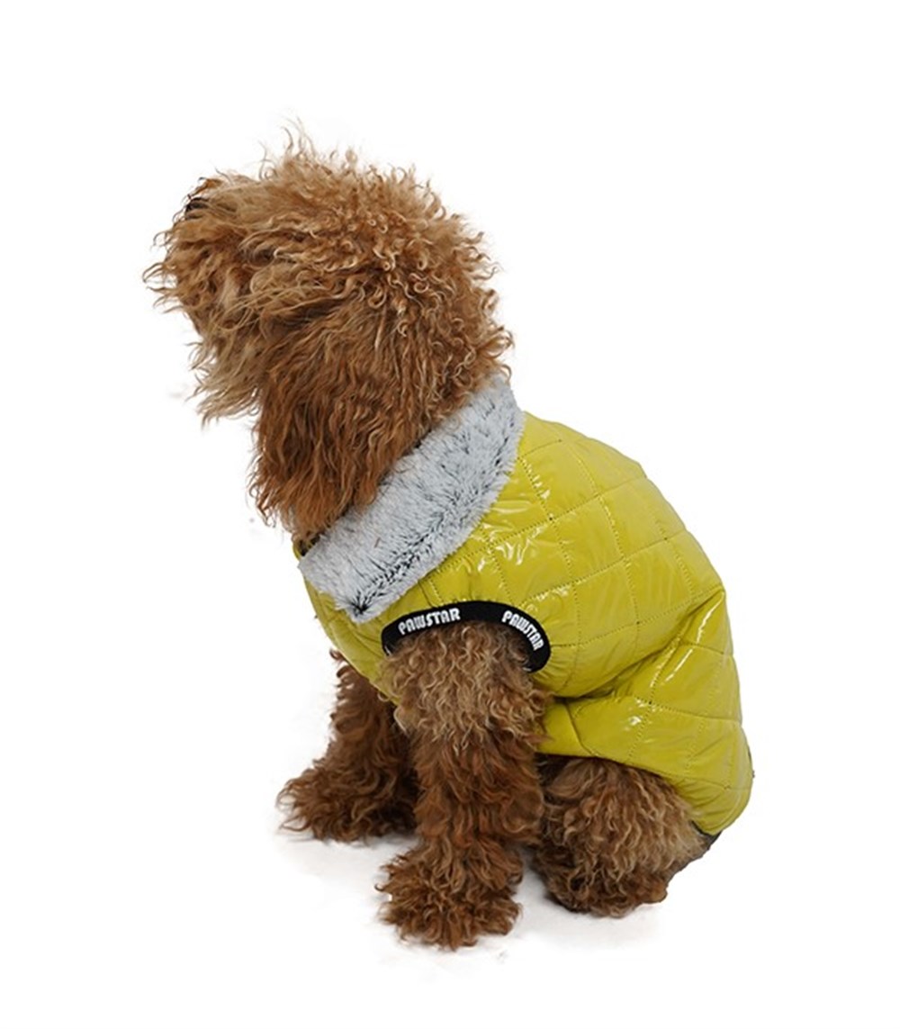 Pawstar Puff Sarı Küçük Köpek Montu