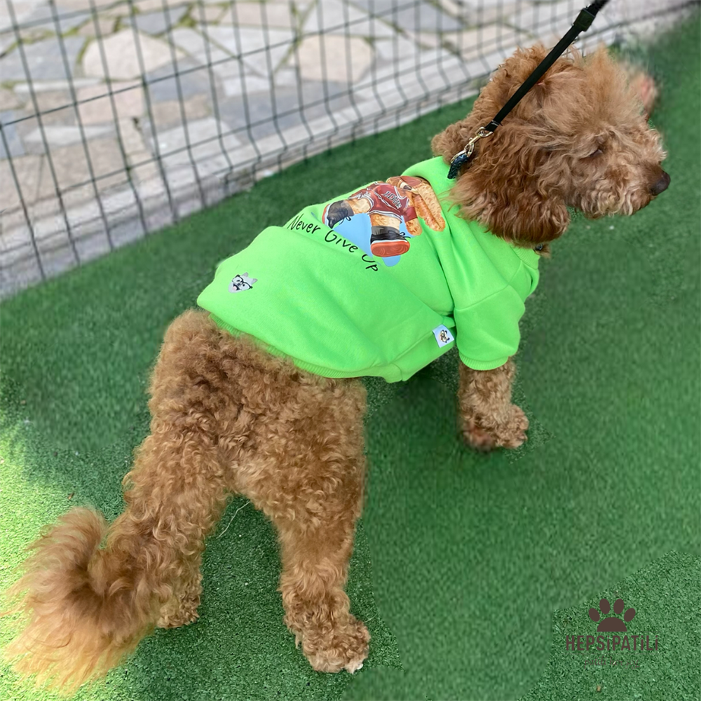 Never Give Up içi Polarlı Küçük Köpek Sweatshirtü (4,5 kg-13 kg arasına uygun bedenlerde)