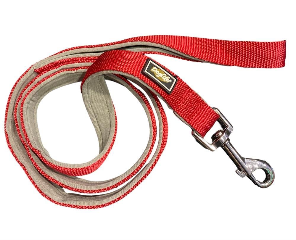 All-day Red Köpek Gezdirme Tasması (2,5 cm x 120 cm)