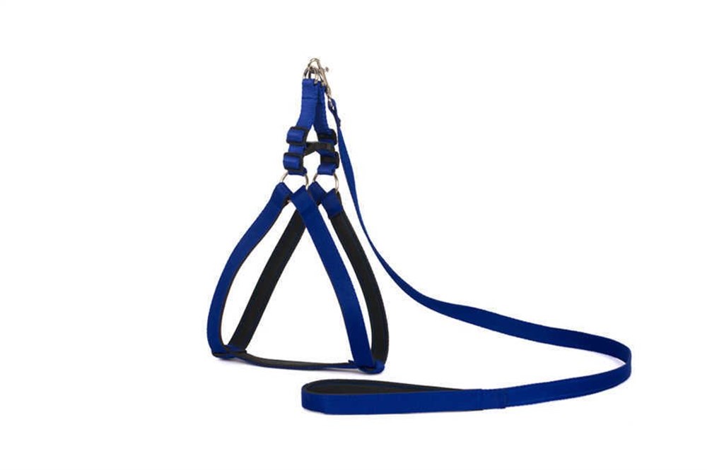 Orta Boy Mavi Yumuşak Dokulu Göğüs Tasması ve Gezdirme Kayışı Seti 2 cm x 100 cm
