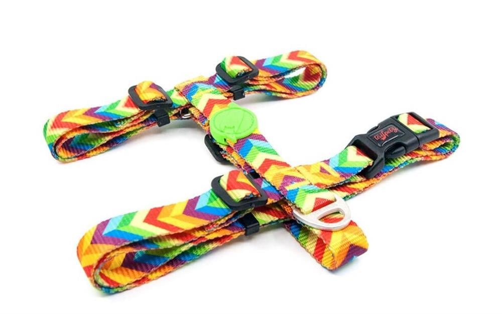 Tailpetz H-tip Rainbow XS Çok Küçük Irk Köpek Göğüs Tasması (Göğüs 23 cm x 38 cm)