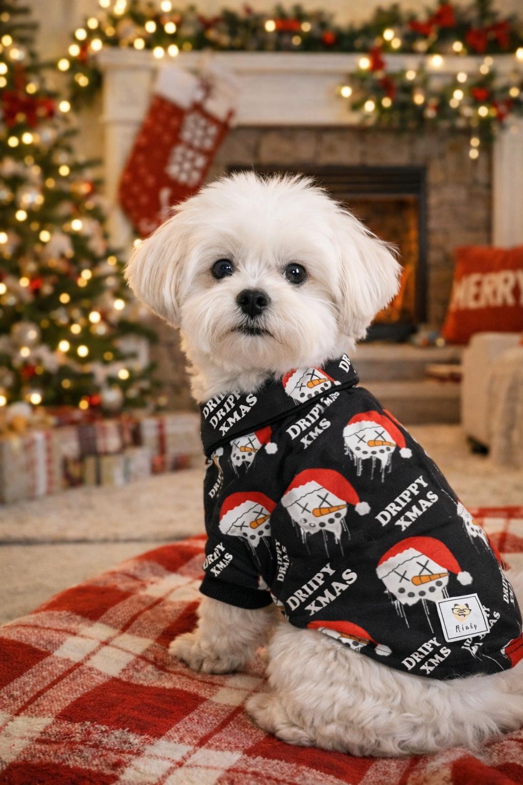 Miniş Drippy Santa Küçük Irk Köpek Yılbaşı Gömleği