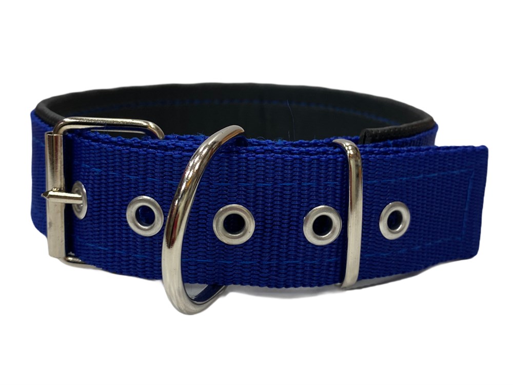 Mavi Köpek Boyun Tasması 4 cm x 50-65 cm