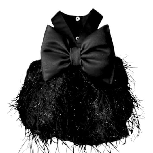 Dev Fiyonklu Şık Püsküllü Siyah Küçük Irk Köpek Elbisesi