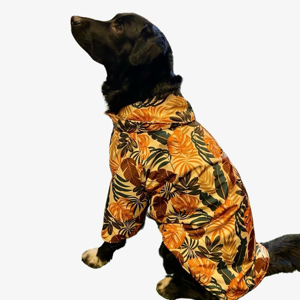 Gedyco Autumn Kalın Polarlı Büyük Irk Köpek Montu (21-50 kg arası köpeklere uygundur)