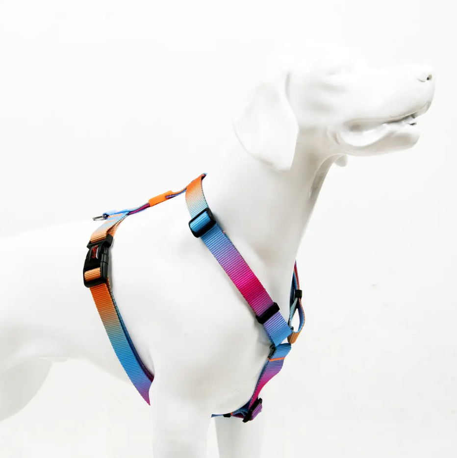 Tailpetz H-tip Pass L Orta ve Büyük Irk Köpek Göğüs Tasması (Göğüs 62 cm x 107 cm)
