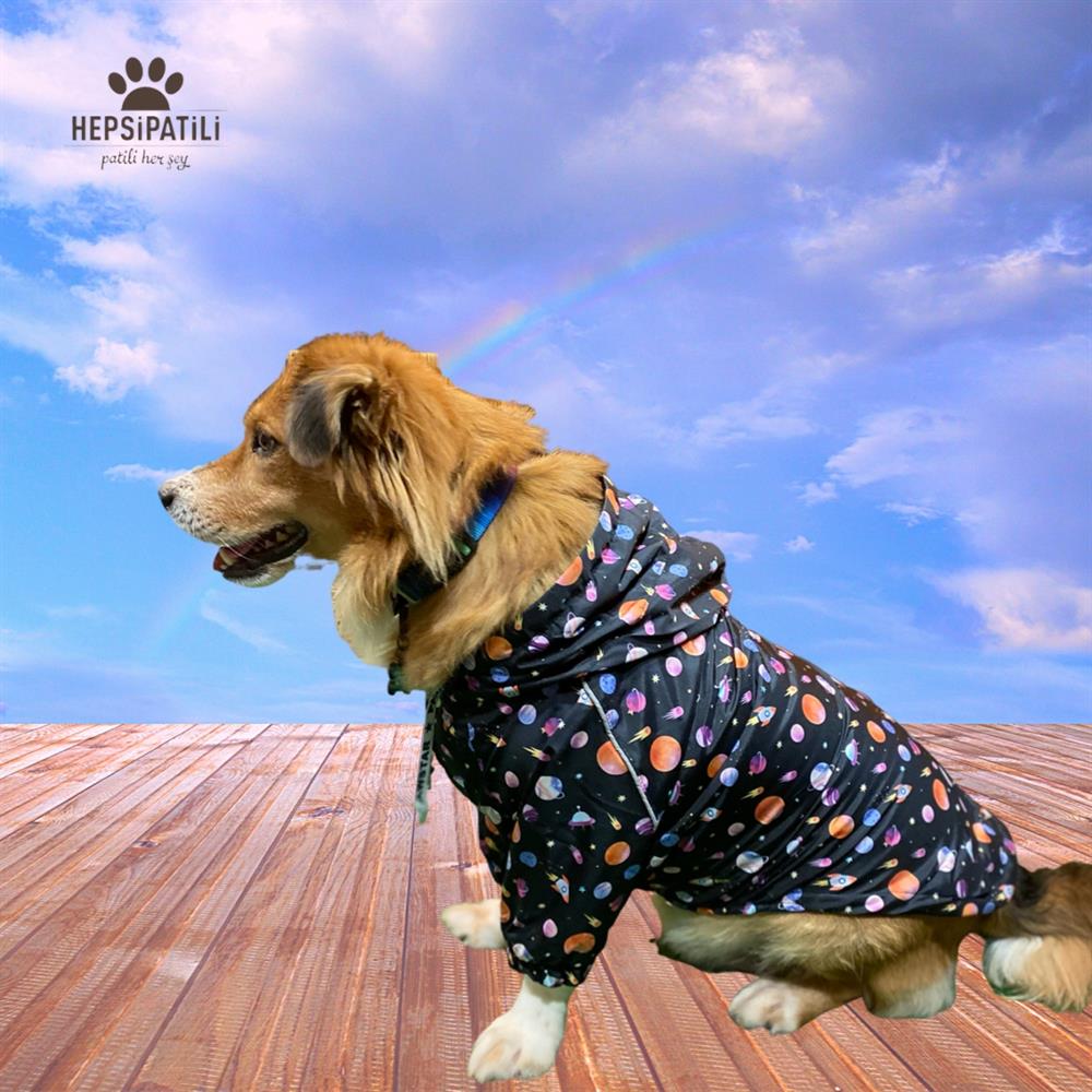 Pawstar Locus İçi Polar Orta-Büyük Irk Köpek Yağmurluğu