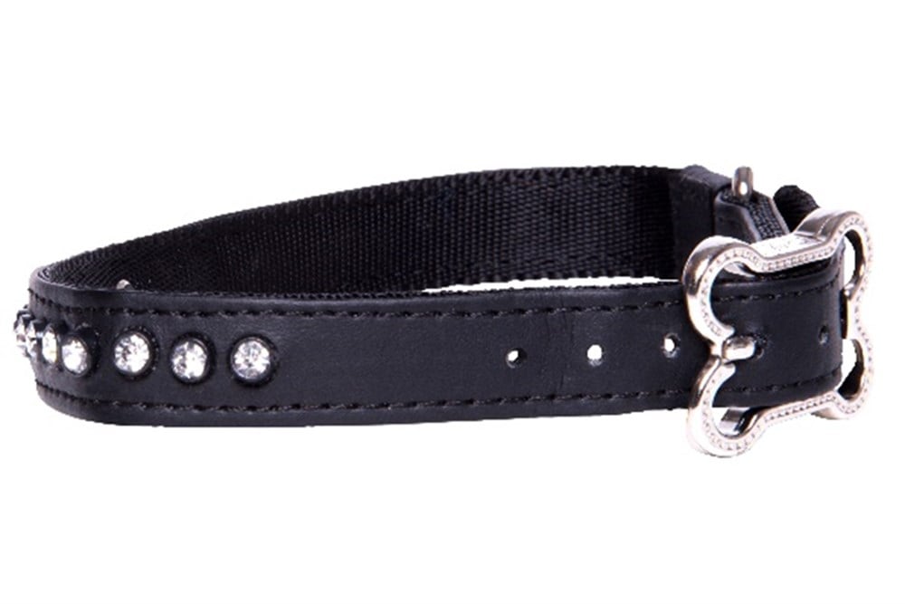 Rogz Luna Siyah Deri Boyun Tasması M 28 - 36 cm