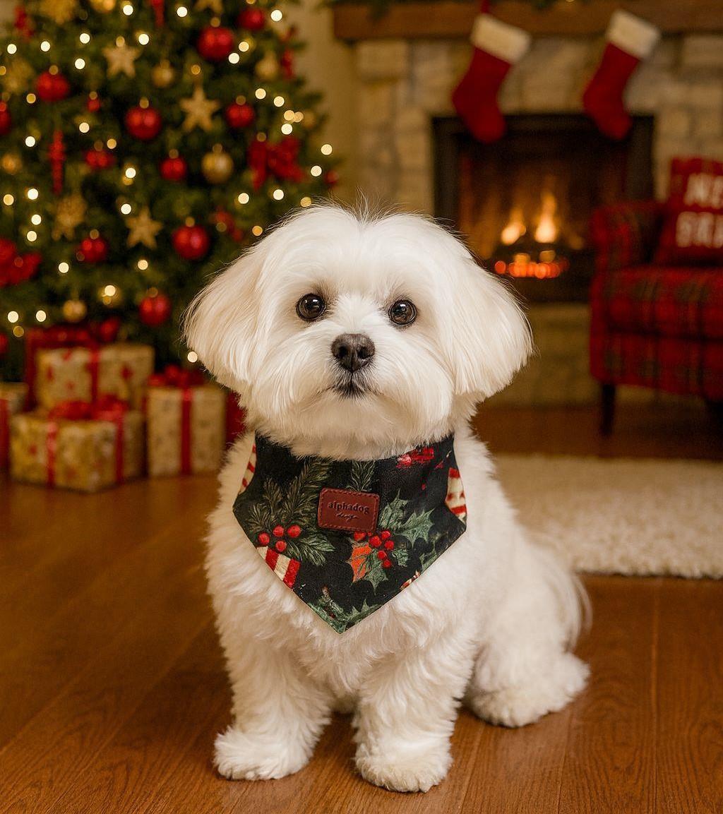 Alphadog Xmas Flowers Kedi ve Köpek Bandanası