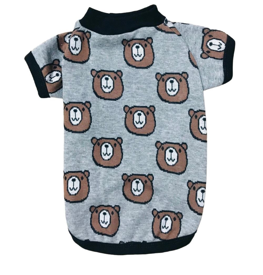 Gedyco Teddy Küçük Köpek Kazağı