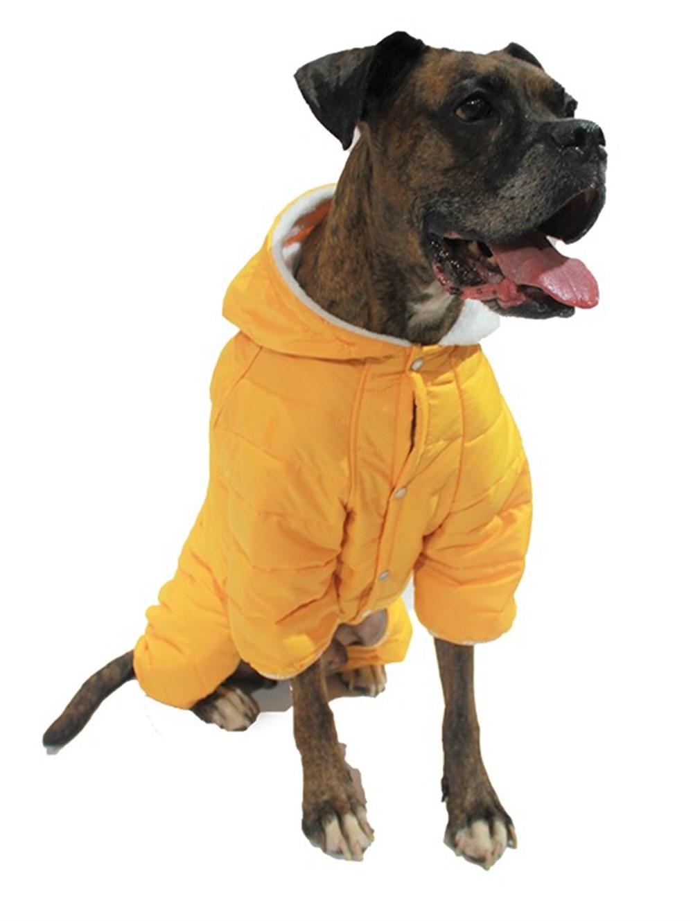 Pawstar Sport Orta-Büyük Irk Köpek Yağmurluk Tulumu Sarı