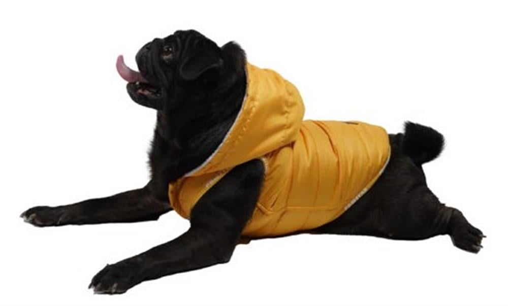 Pawstar Sport Küçük Köpek Yağmurluğu Sarı (9 kg-11 kg arasına uygun bedende)