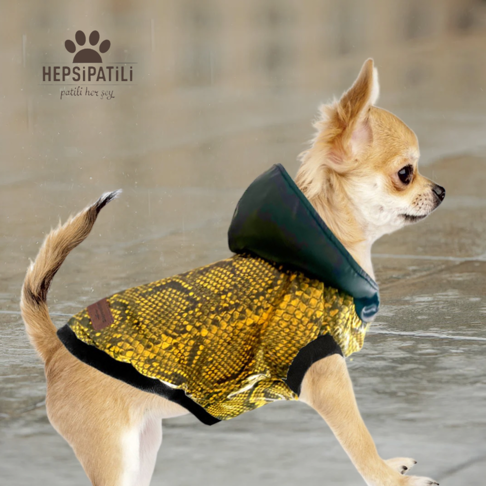 Alphadog Snake Su Geçirmez Küçük Irk Köpek Yağmurluğu