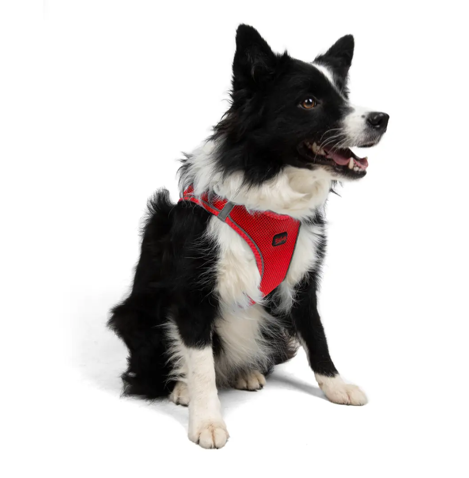 Tailpetz Air-Mesh Garnet Göğüs Tasması