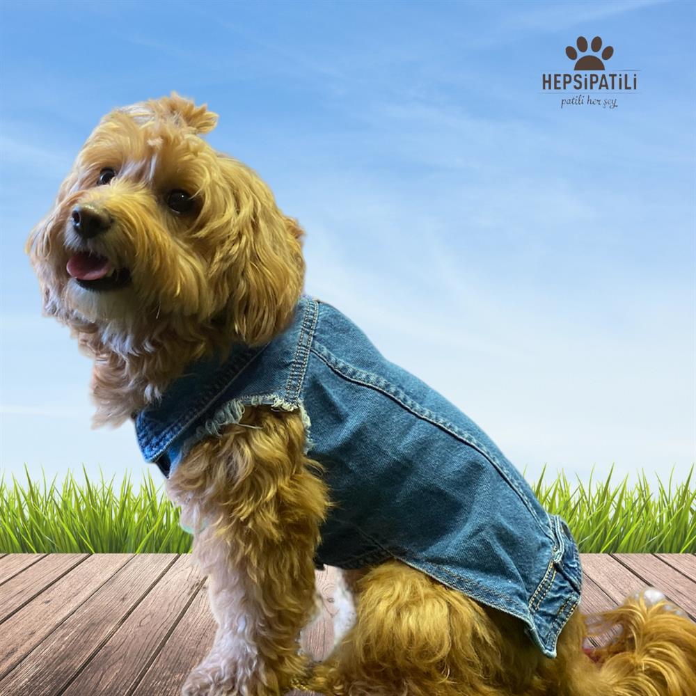 Küçük Irk Köpek için Light Jean Yelek