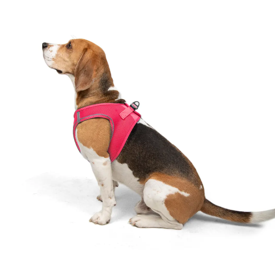 Tailpetz Air-Mesh Neon Pembe Göğüs Tasması