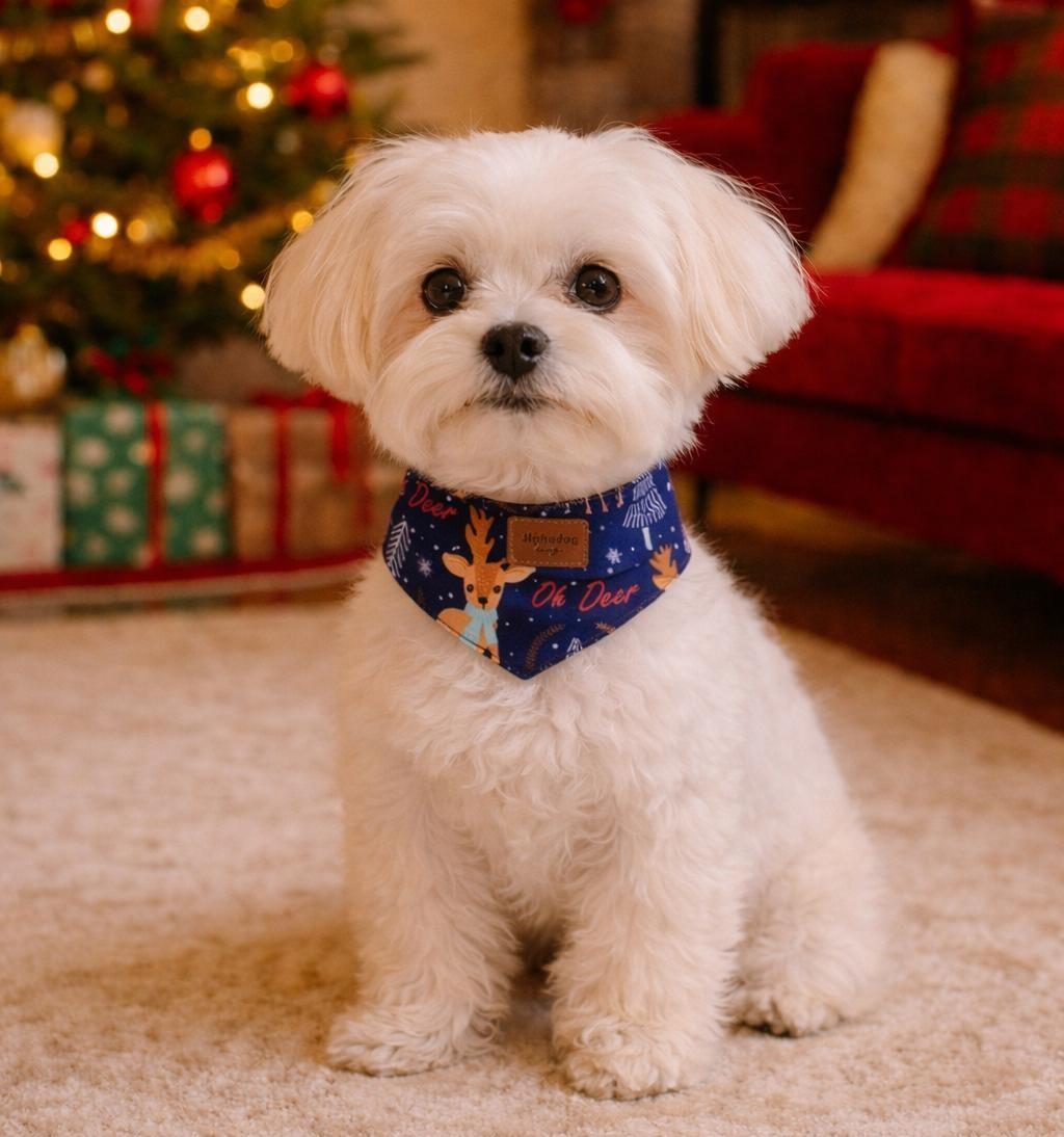 Alphadog Blue Deer Kedi ve Köpek Bandanası