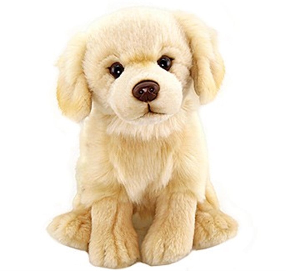 Golden Retriever Peluş Oyuncak